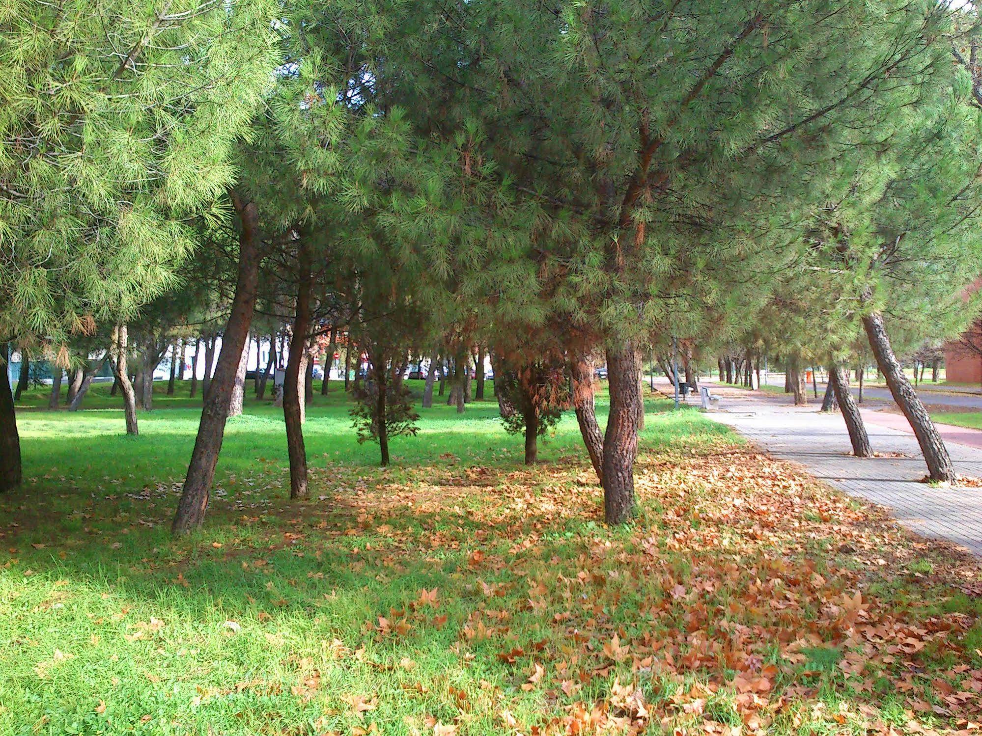 Residencia Universitaria Resa Giner De Los Rios Alcalá de Henares Eksteriør bilde